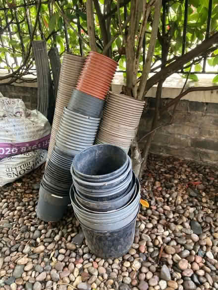 Photo of free Plastic plant pots (Gospel Oak) #1
