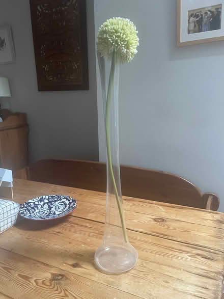 Photo of free Tall Clear Vase & Faux Alium Flower (North Ascot SL5) #1