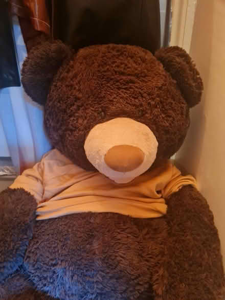 Photo of free Huge Teddy bear 🧸 (Harlesden) #3