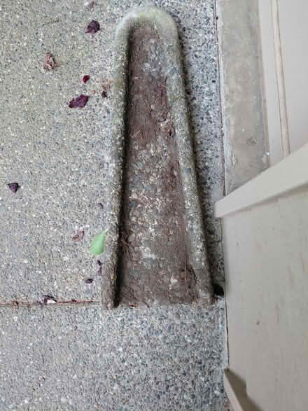 Photo of free Downspout Drain (Juanita (Kirkland)) #1
