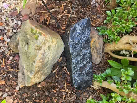 Photo of free Rubble (Harrogate HG1) #4