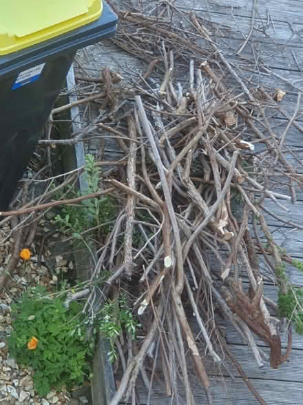 Photo of free Branches (Heysham) #1