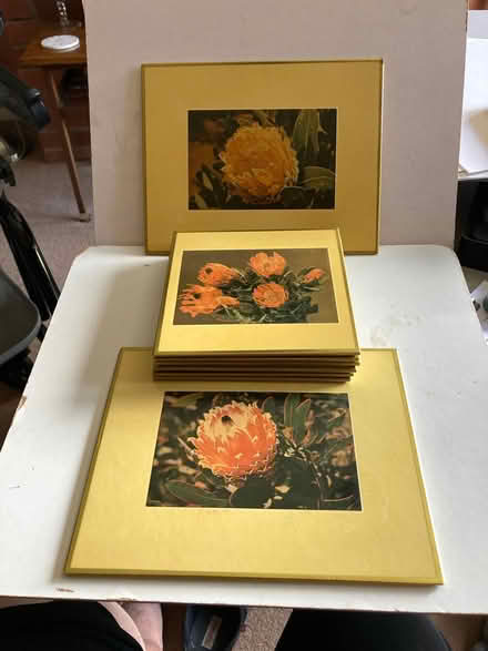 Photo of free 8 x Cork-Backed Placemats featuring South African Flowers (St James, South Elmham IP19) #1
