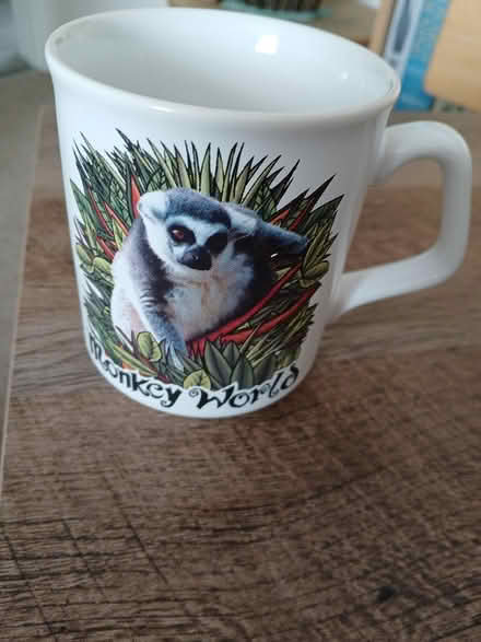 Photo of free Monkey World souvenir mug (Wallisdown BH12) #1