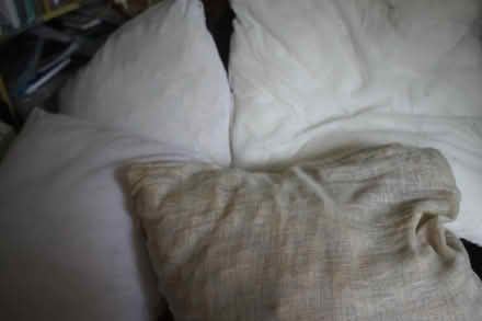 Photo of free Cushions/Pillows (dorchester DT1) #4