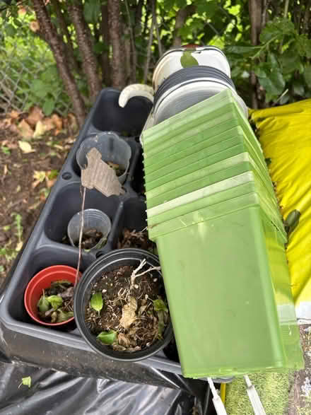 Photo of free Garden pots (Grimsby) #3