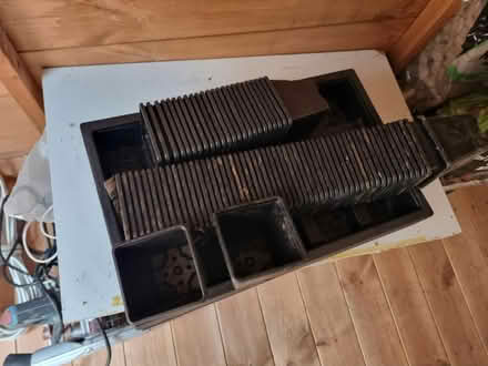 Photo of free Seed trays and pots (Bangor LL57) #1