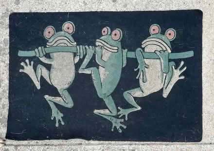 Photo of free Used Frog Mat (Martinez, near Ace Hardware) #1