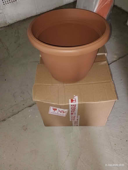 Photo of free Plastic plant pot (Elizabeth Gate TW8) #1