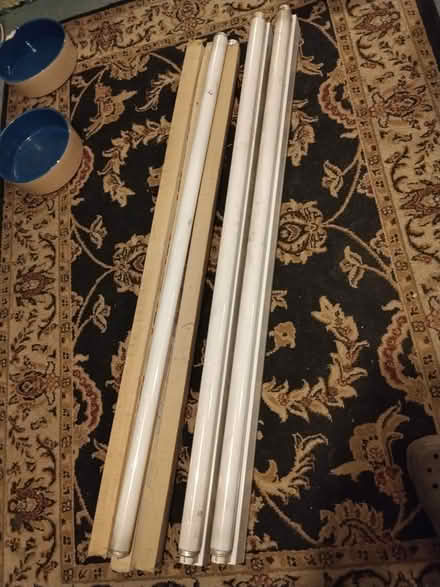 Photo of free 2x 4ft florescent lights + 4 bulbs (Edinburgh EH20) #2