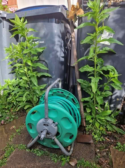 Photo of free Garden hose and hoe (Northfield B31) #1