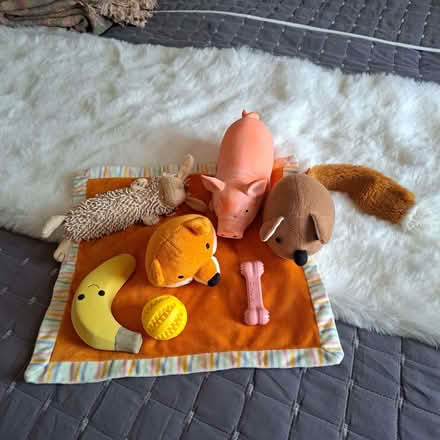 Photo of free Selection of doggy things (Charminster BH8) #1