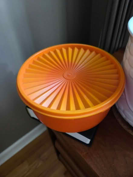 Photo of free Tupperware container (Kenson Park) #1