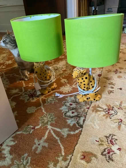 Photo of free Two Cheetah lamps (Laurel, MD) #1