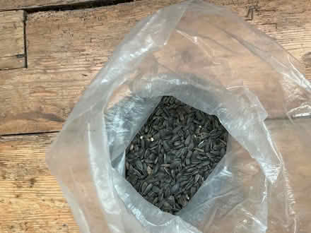 Photo of free Birdseed (Whitehawk BN2) #1