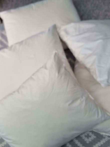 Photo of free 5 feather scatter cushions (Abermule SY15) #1