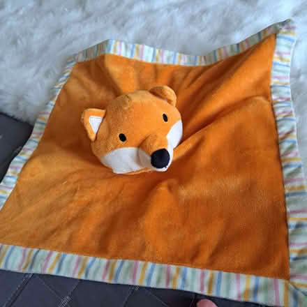 Photo of free Selection of doggy things (Charminster BH8) #4