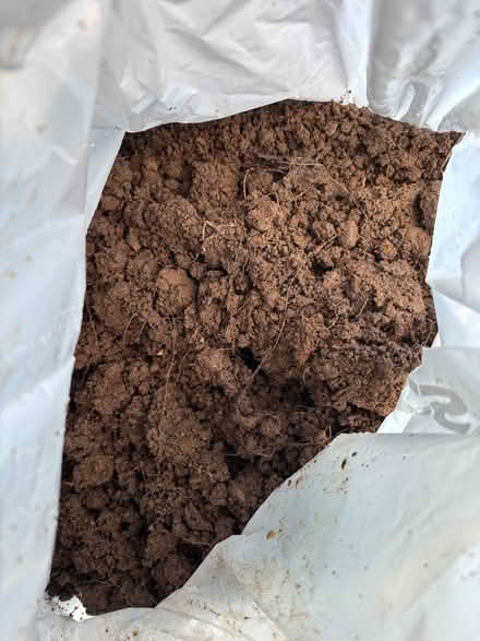 Photo of free sand (Leighton Buzzard LU7) #1