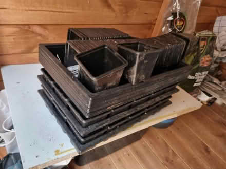Photo of free Seed trays and pots (Bangor LL57) #2