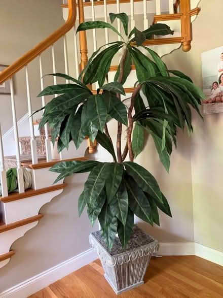 Photo of free 7’ artificial tree - indoor (Bedford NH) #1