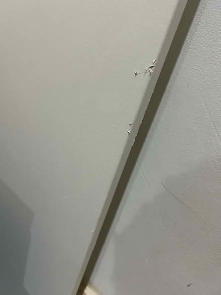 Photo of free IKEA wardrobe door (Thornton Heath) #3