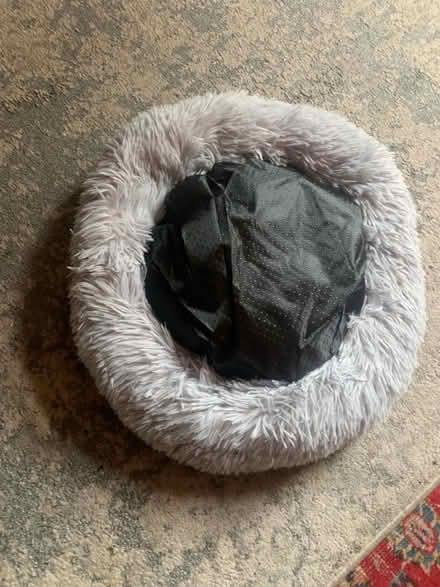 Photo of free small cat bed (Knighton LD7) #1