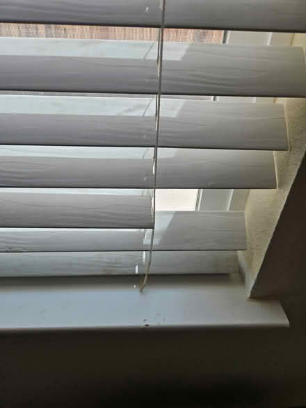 Photo of 2” blind slats, > 46” long (Near De Anza College) #2
