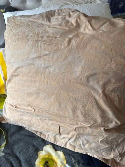 Photo of free Square pillows (Churchtown) #1