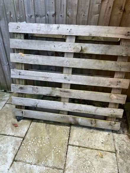 Photo of free Wooden pallet (Brooklands, M23) #1