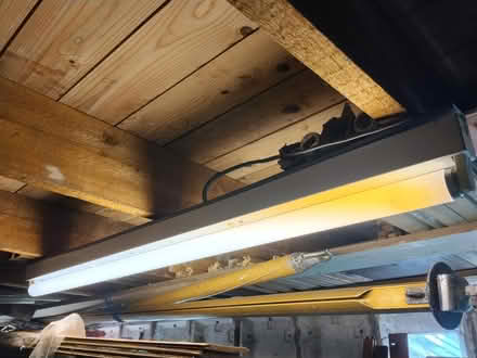 Photo of free 2x 4ft florescent lights + 4 bulbs (Edinburgh EH20) #1