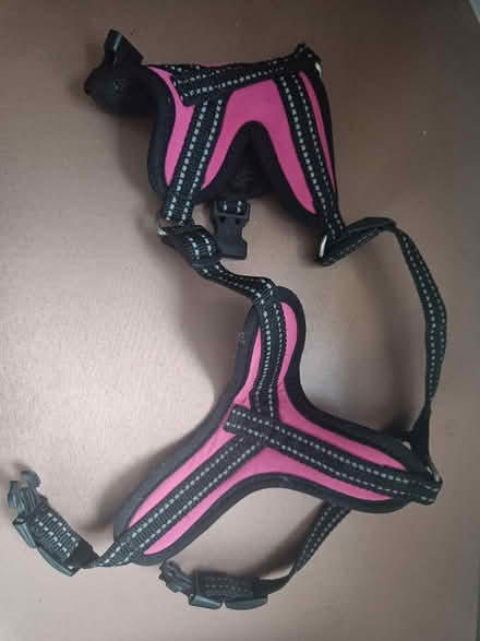 Photo of free Small dog harness (Aldershot GU12) #1