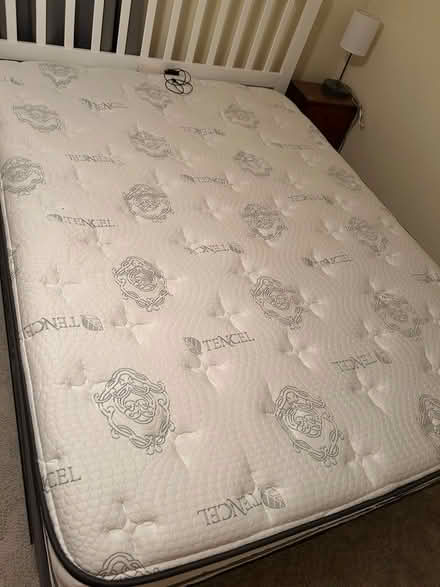 Photo of free mattress and box spring (Verona, WI) #2