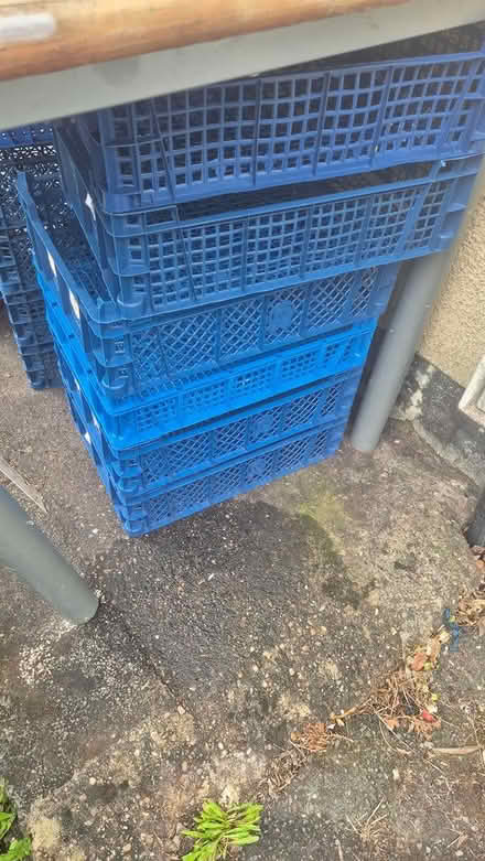 Photo of free Plastic trays (Allestree DE22) #1