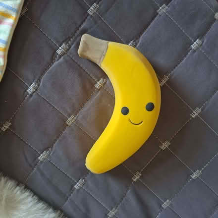 Photo of free Selection of doggy things (Charminster BH8) #3