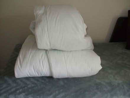 Photo of free Single bedding in excellent condition (Five Ways B15) #1