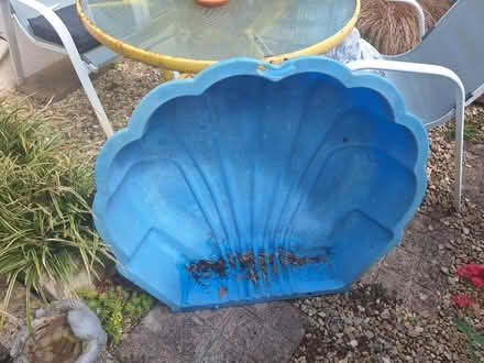 Photo of free Half shell paddling pool/sandpit (Forestgreen) #1