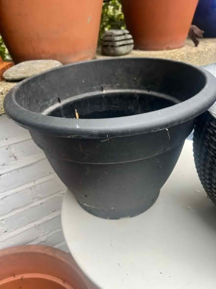 Photo of free Hanging basket and large pot (SW11) #2