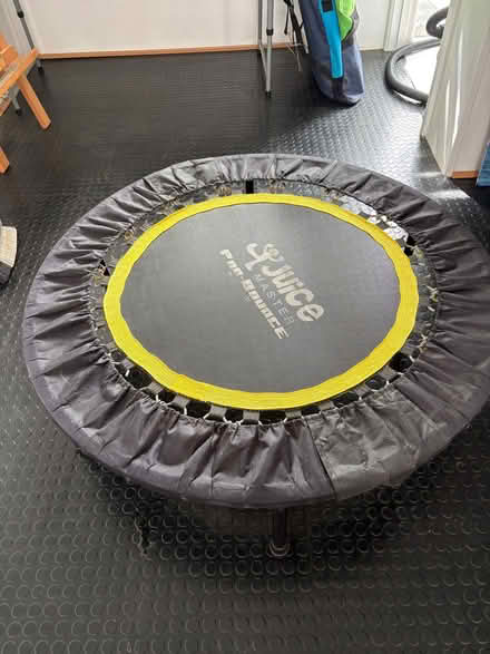 Photo of free Pro bounce trampoline mini (Roffey RH12) #1