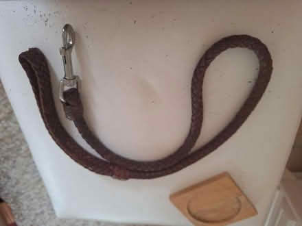 Photo of free Dog lead (Forestgreen) #1
