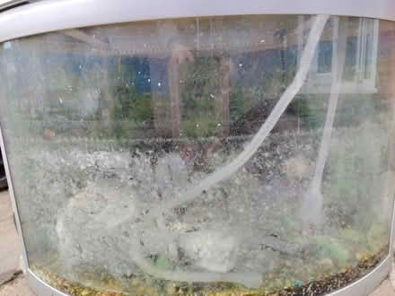 Photo of free Fish tank (HU8 Holderness high road) #2