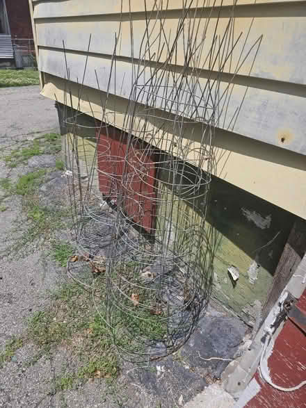 Photo of free Tomatoe cages (Poughkeepsie) #1