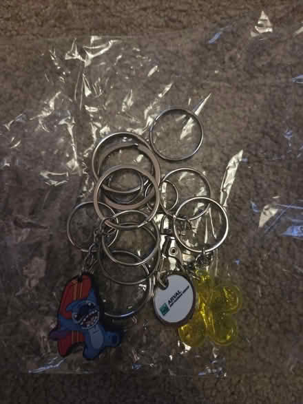 Photo of free Key-ring hoops & key-rings (Lightwood ST3) #1