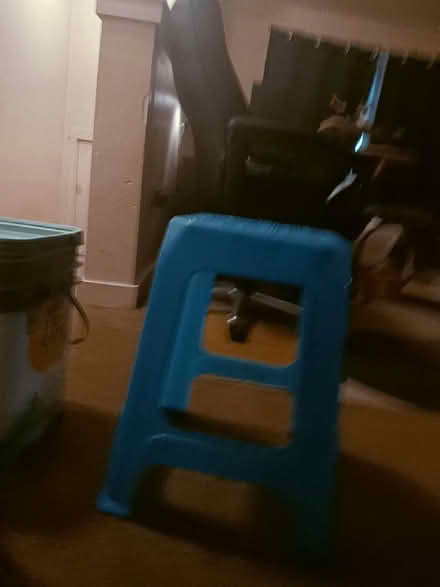 Photo of free Step stool (White Center) #1
