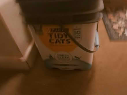 Photo of free Empty cat litter bucket (White Center) #1