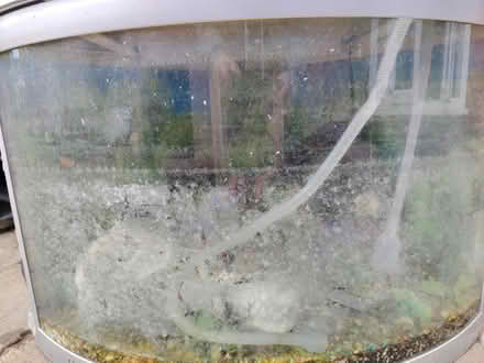Photo of free Fish tank (HU8 Holderness high road) #3