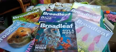 Photo of free Woodland Trust magazines (Kidderminster DY11) #1