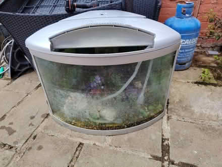 Photo of free Fish tank (HU8 Holderness high road) #4