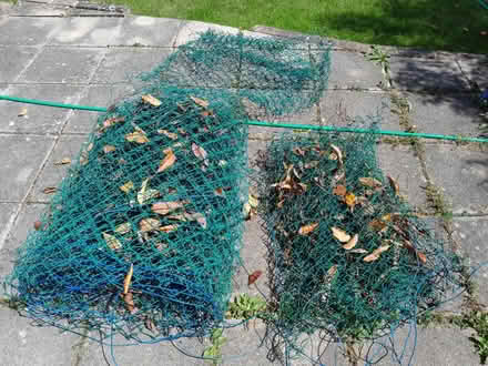 Photo of free Green wire fencing (Epsom KT19) #1