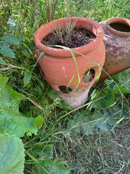 Photo of free Strawberry pots (Steeple, CM0) #3