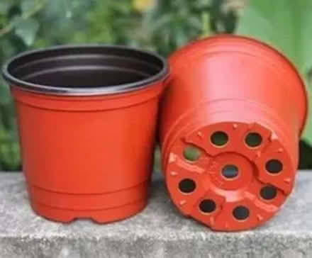 Photo of Indoor/plastic plant pots (Seal TN15) #1